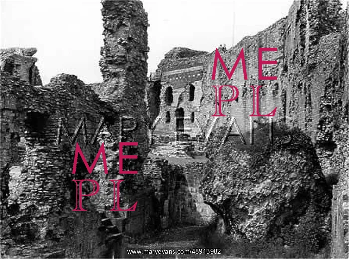 : DENBIGH CASTLE : DENBIGH CASTLE
