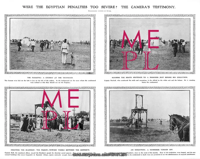 : The Denshawai incident : The Denshawai incident
