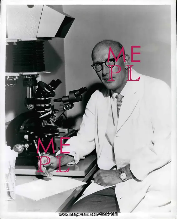 : Dentists - Doctors - Inventors - Medicine - Science : Dentists - Doctors - Inventors - Medicine - Science