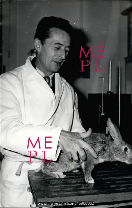 : Dentists - Doctors - Inventors - Medicine - Science : Dentists - Doctors - Inventors - Medicine - Science