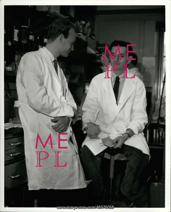  : Dentists - Doctors - Inventors - Medicine - Science
