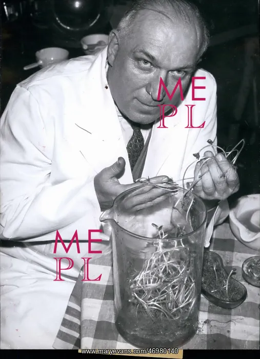 : Dentists - Doctors - Inventors - Medicine - Science : Dentists - Doctors - Inventors - Medicine - Science