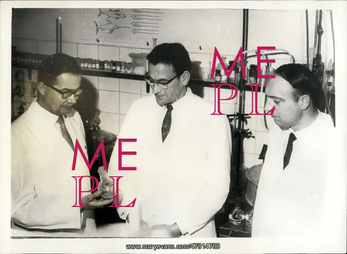 : Dentists - Doctors - Inventors - Medicine - Science : Dentists - Doctors - Inventors - Medicine - Science