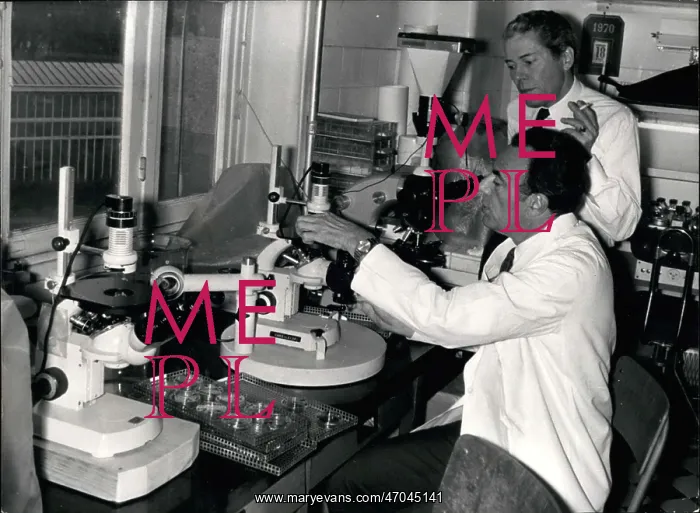 : Dentists - Doctors - Inventors - Medicine - Science : Dentists - Doctors - Inventors - Medicine - Science