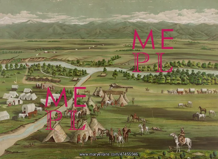  : Denver in 1859