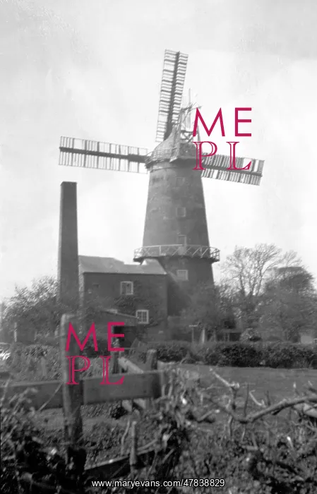 : Denver tower mill, Norfolk : Denver tower mill, Norfolk