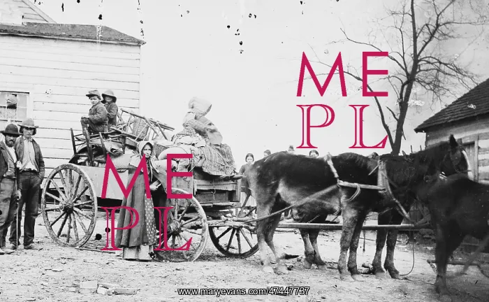 : Departure from the old homestead : Departure from the old homestead