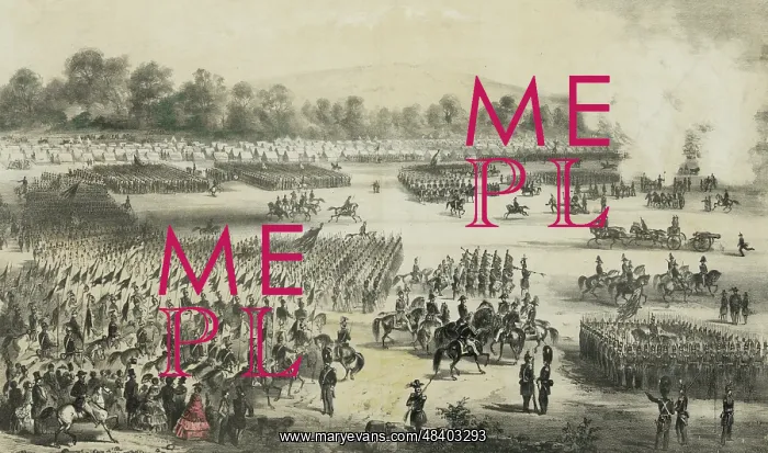 : Depiction of the general muster of the Massachusetts : Depiction of the general muster of the Massachusetts