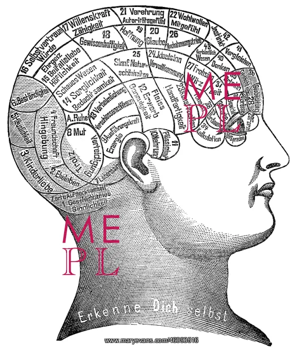 : Depiction of the human character and skills, 1902 : Depiction of the human character and skills, 1902