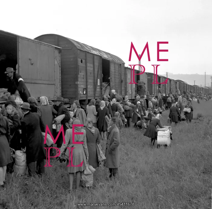 : Deportation of German citizens : Deportation of German citizens