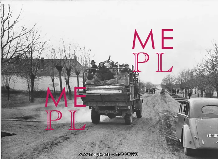 : Deportation of Hungarians : Deportation of Hungarians