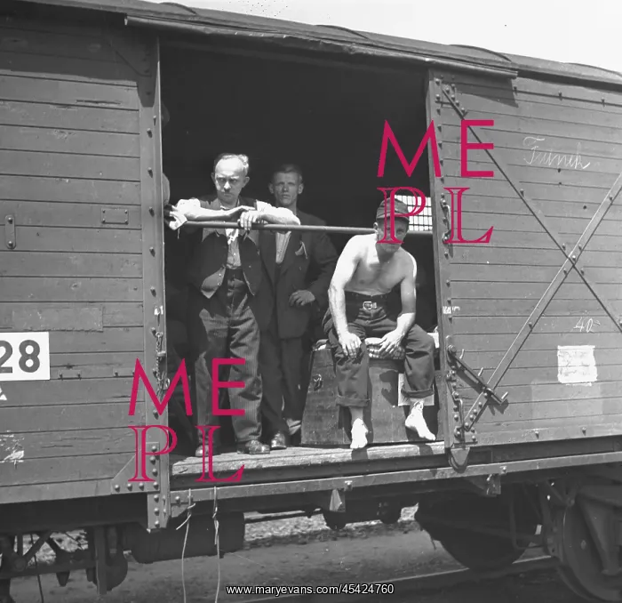 : Deportation of Sudeten Germans : Deportation of Sudeten Germans
