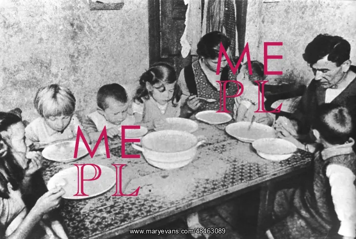: DEPRESSION FAMILY : DEPRESSION FAMILY