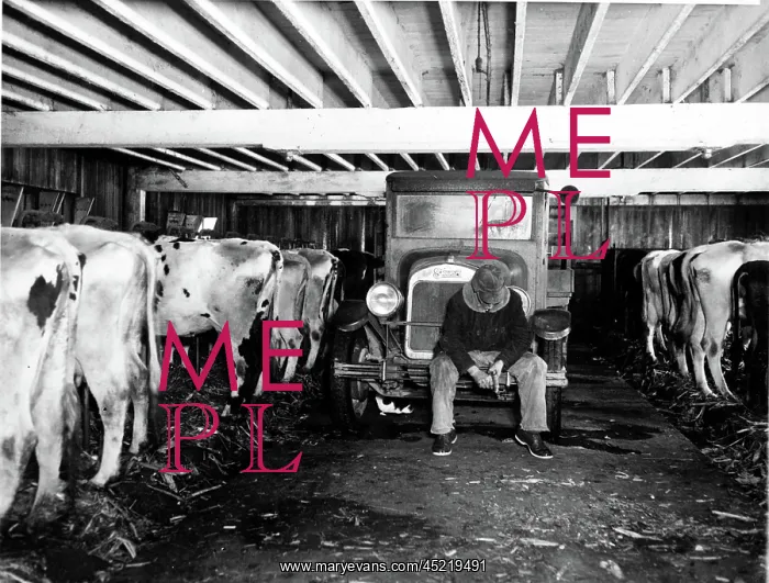 : DEPRESSION / WISCONSIN MILK STRIKE-Thousands ? : DEPRESSION / WISCONSIN MILK STRIKE-Thousands ?