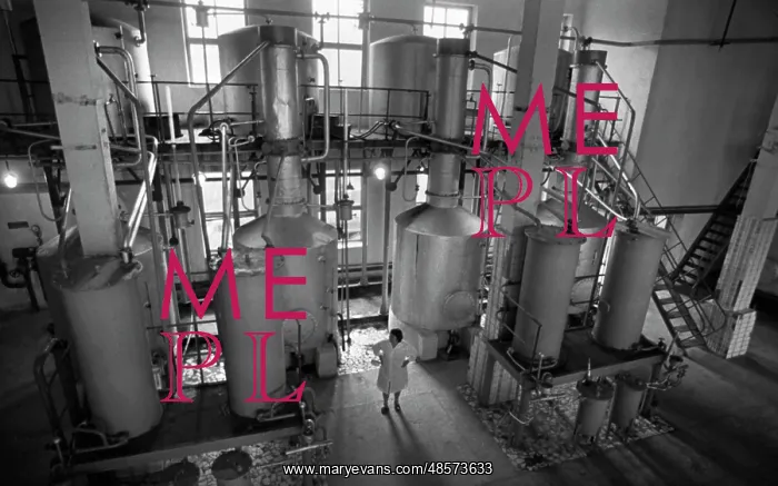 : Derbent Cognac House : Derbent Cognac House
