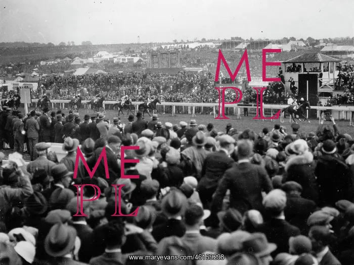 : Derby at Epsom : Derby at Epsom