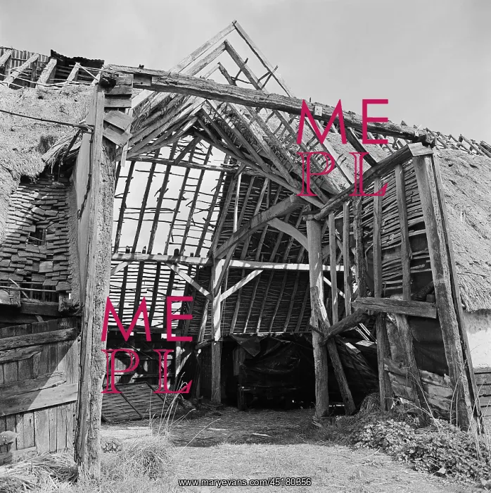 : Derelict barn : Derelict barn