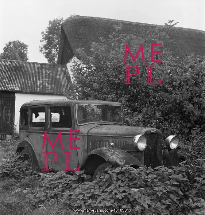 : Derelict car : Derelict car