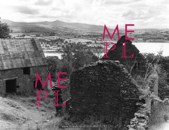 : DERELICT WELSH FARMHOUSE : DERELICT WELSH FARMHOUSE