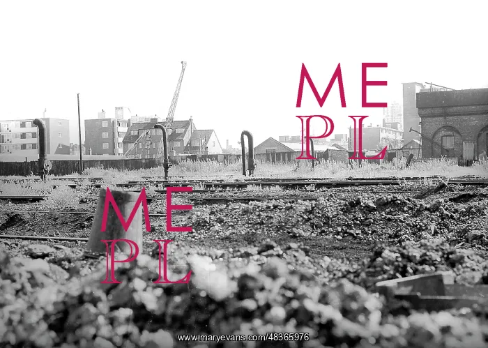: Derelict yard at Nine Elms : Derelict yard at Nine Elms