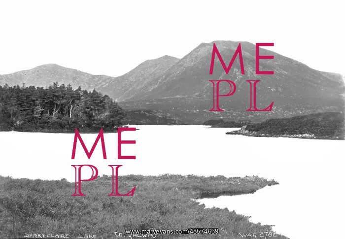  : Derryclare Lake, Co. Galway