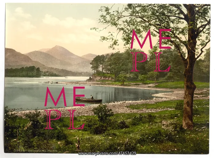 : On Derwentwater, Broomhill Point, Lake District, England : On Derwentwater, Broomhill Point, Lake District, England