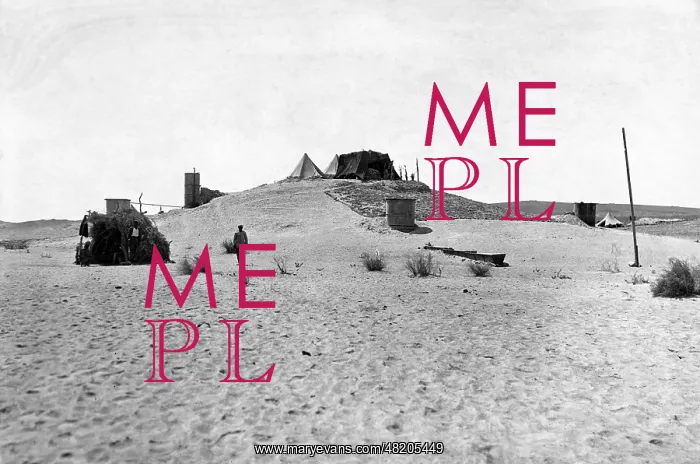 : Well system in the desert, 1917 : Well system in the desert, 1917