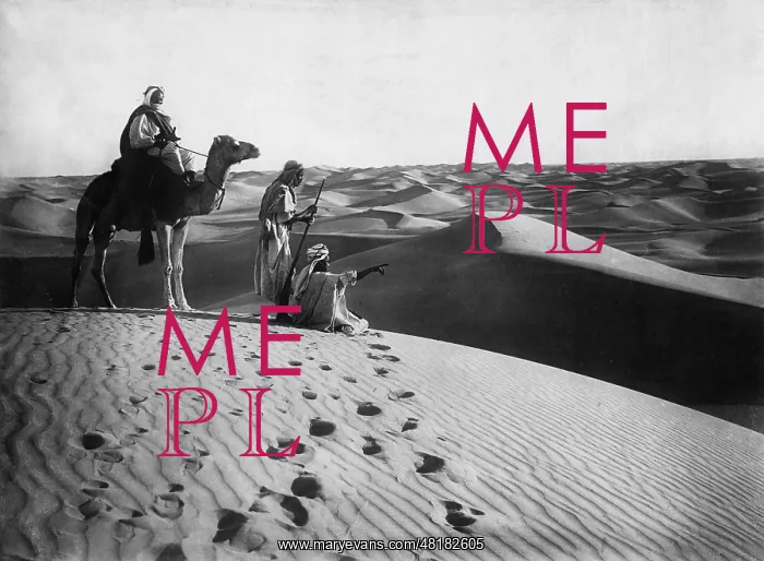 : Desert in Algeria, 1938 : Desert in Algeria, 1938
