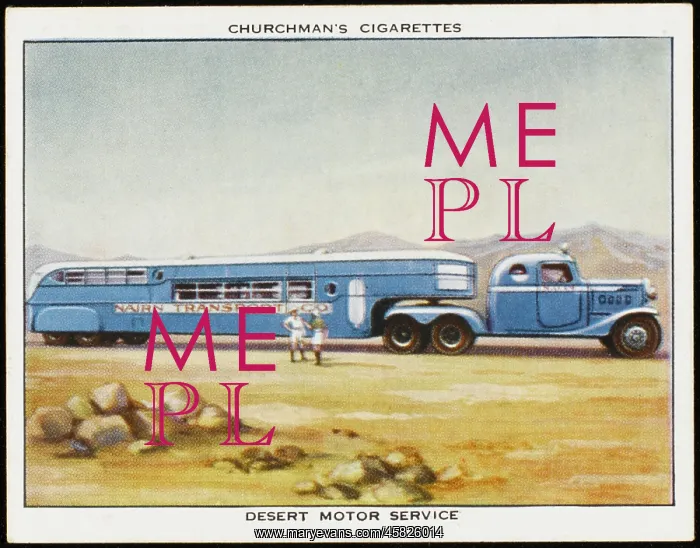 : DESERT BUS SERVICE : DESERT BUS SERVICE