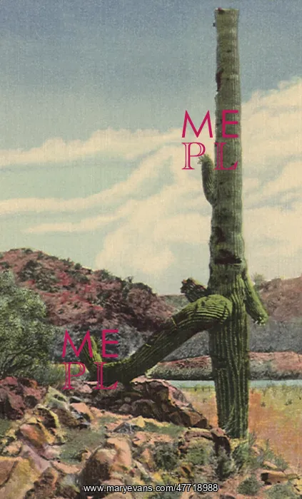  : Desert Cactus