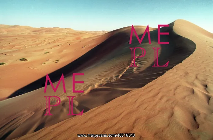 : Desert in Dubai, 1999 : Desert in Dubai, 1999