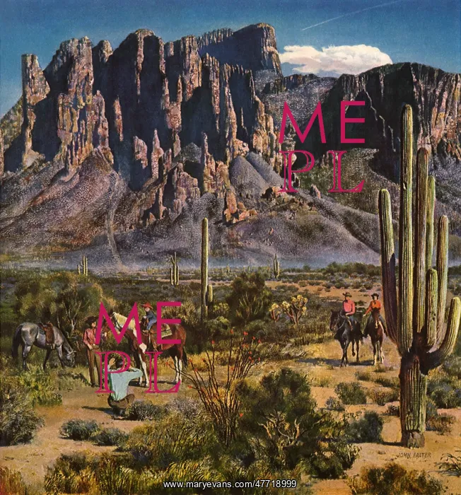 : Desert Horseback Riding : Desert Horseback Riding