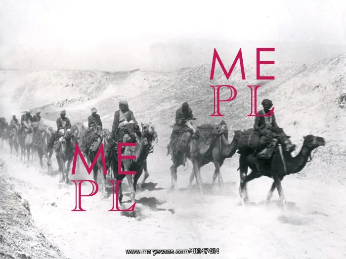 : Desert Mounted Corps with camels, Jordan, WW1 : Desert Mounted Corps with camels, Jordan, WW1