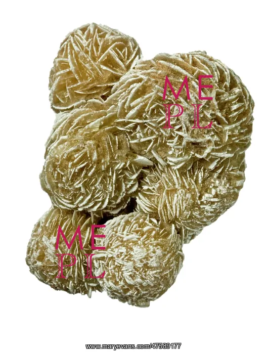  : Desert rose