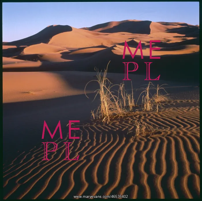 : DESERT SCENERY / MOROCCO : DESERT SCENERY / MOROCCO