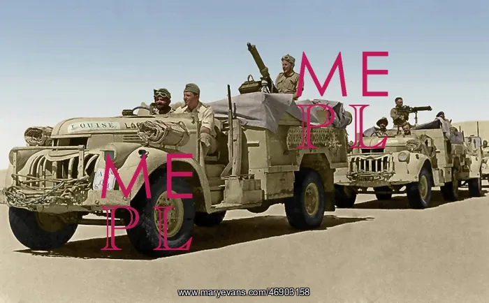 : Desert Warfare : Desert Warfare