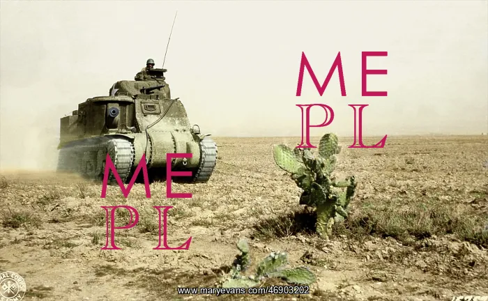 : Desert Warfare : Desert Warfare
