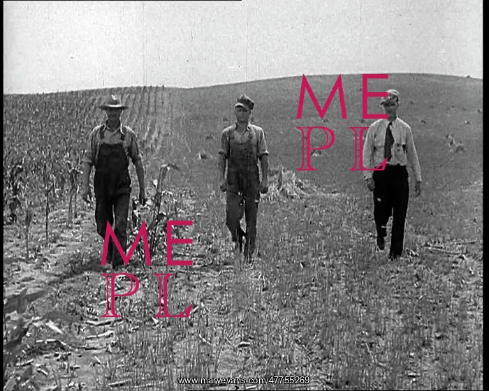 : Deserted Land and Corn Fields Dying Because : Deserted Land and Corn Fields Dying Because