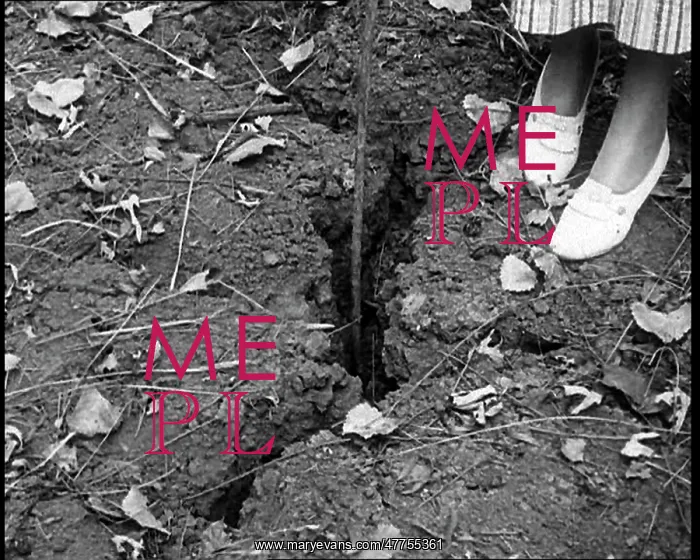 : Deserted Land and Corn Fields Dying Because : Deserted Land and Corn Fields Dying Because