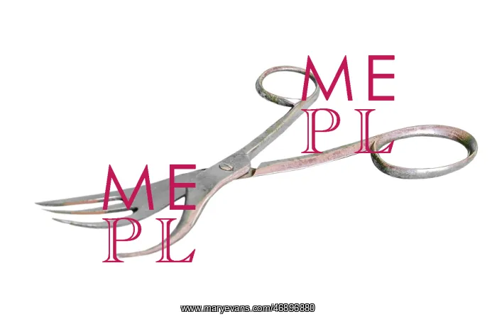 : Desideratum combined knife / scissors and fork : Desideratum combined knife / scissors and fork