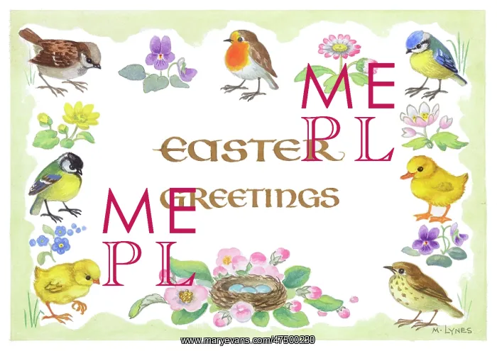 : Design with border of birds and flowers : Design with border of birds and flowers