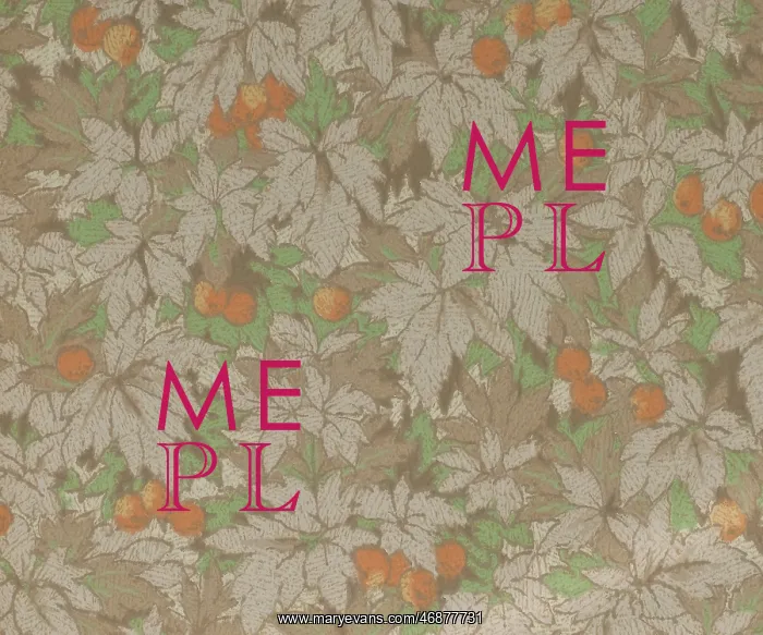 : Design in SMB wallpaper sample book : Design in SMB wallpaper sample book