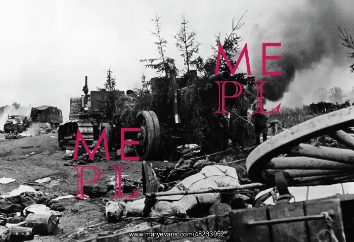 : Destroyed column of the Red Army, 1941 : Destroyed column of the Red Army, 1941