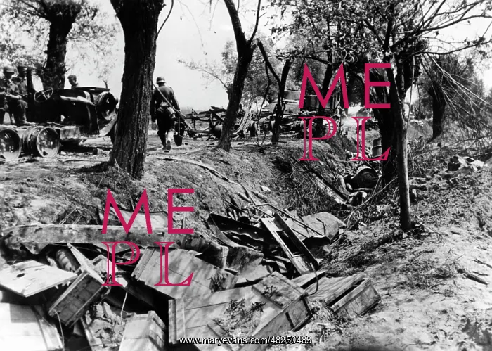 : Destroyed column of the Red Army, 1941 : Destroyed column of the Red Army, 1941