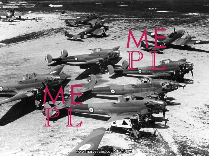 : A destroyed French bomber, 1940 : A destroyed French bomber, 1940