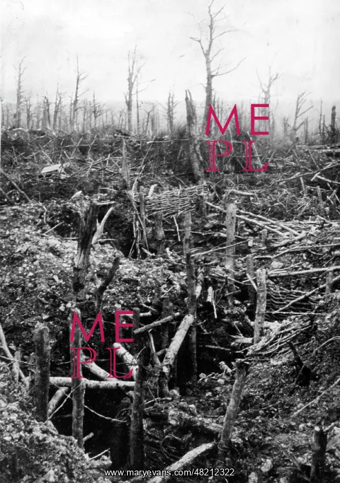 : Destroyed French trench, 1916 : Destroyed French trench, 1916