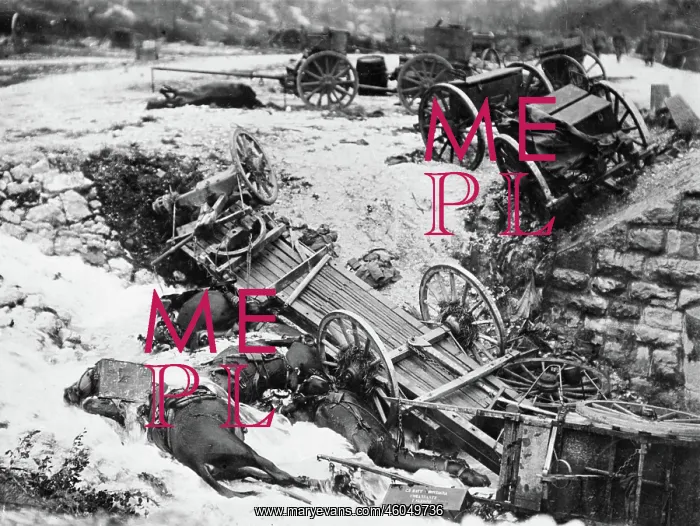 : Destroyed Italian artillery : Destroyed Italian artillery