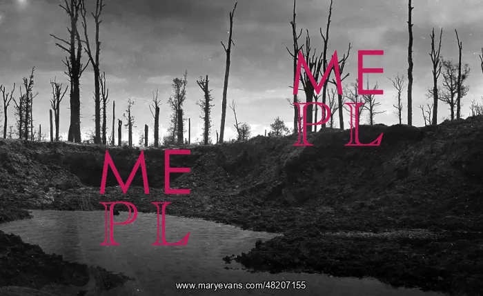 : Destroyed landscape on the Western Front during the First Wo : Destroyed landscape on the Western Front during the First Wo