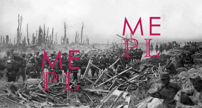 : Destroyed landscape at the Western Front, 1917 : Destroyed landscape at the Western Front, 1917