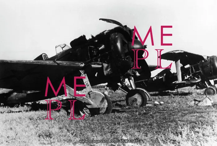 : Destroyed Russian warplanes in Ukraine, 1941 : Destroyed Russian warplanes in Ukraine, 1941